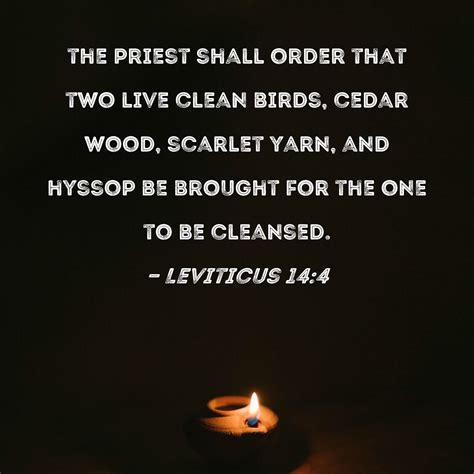 <b>14</b> The Lord said to Moses, 2 “These are the regulations for any diseased person at the time of their ceremonial cleansing, when they are brought to the priest: 3 The priest is to go outside the camp and examine them. . Leviticus 14 niv